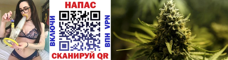 Марихуана SATIVA & INDICA  Купить закладки  Сенгилей 